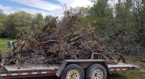 Annual Roadside Cleanup & Potluck Lunch- 6/7/2025